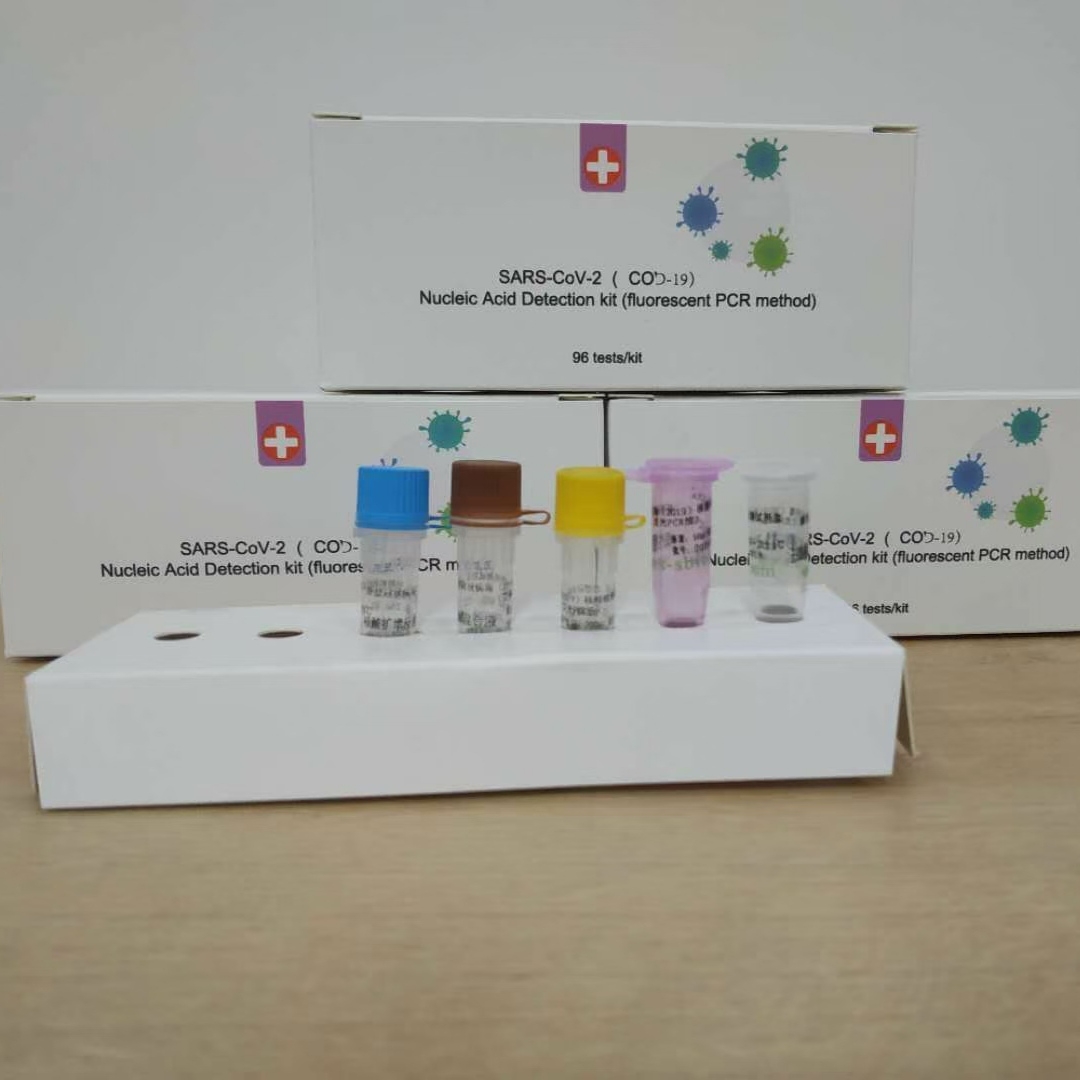 Sars-cov-2 COVID-19 nucleic Acid Detection Kit (Fluorescence PCR Method) China wholesale