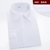 fashion business women shirt staff uniform