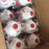 Europe CE FFP3 mask  CE round disposable  mask face mask with valve  wholesale
