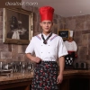 summer thin fabric short sleeve chef shirt uniform