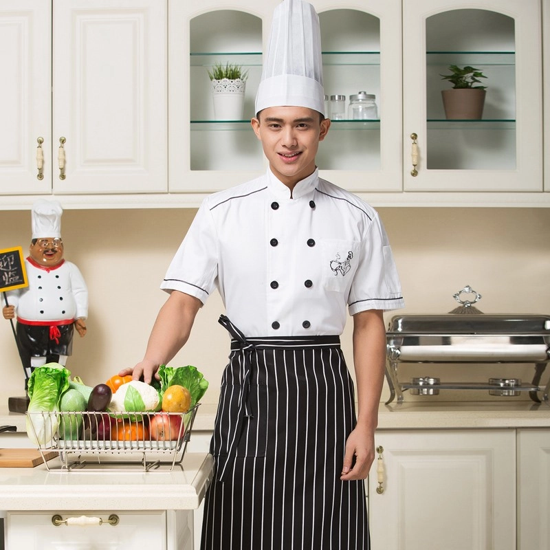 new short sleeve cotton chef uniform coat