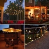 restaurant hotel yard Outdoor decorative lighting  Led g40 tungsten lamps wholesale