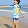 cartoon animal tiger shark giraffe Hippocampus boy swimsuit swimwear