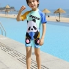 panda printing cartoon boy swimsuit swimwear two-piece swimsuit for boy