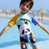panda printing cartoon boy swimsuit swimwear two-piece swimsuit for boy