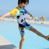 panda printing cartoon boy swimsuit swimwear two-piece swimsuit for boy