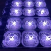 light show drone performance uav 12PCs/box drones bee group  