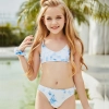 2022 Europe purple dye two-piece girl swimwear tankini swiming wear